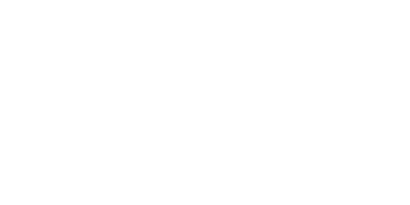 Briscon